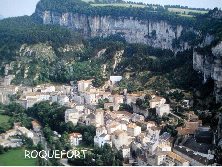Chambre Au Calme Avec Spa Privatif Gratuit Sud Aveyron Les Palmiers Des Causses Saint-Rome-de-Tarn Extérieur photo